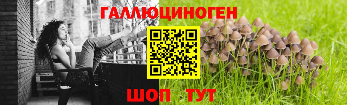 Псилоцибиновые грибы Psilocybine cubensis  Псилоцибиновые грибы мухоморы  Асбест  Вход с VPN 